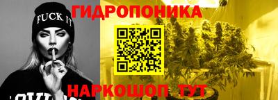 гашик Ликино-Дулёво
