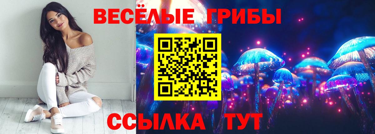Галлюциногенные грибы Cubensis  Вход с VPN  Галлюциногенные грибы GOLDEN TEACHER  Вышний Волочёк 