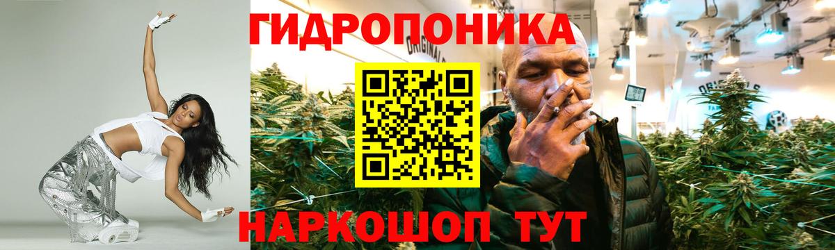 Конопля конопля Вышний Волочёк